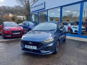 FORD FIESTA at Flora Motors Helston