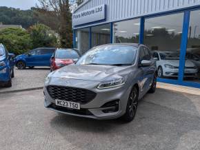 FORD KUGA at Flora Motors Helston